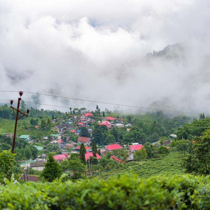 Outdoor terrace seating suitable for families in Amsterdam